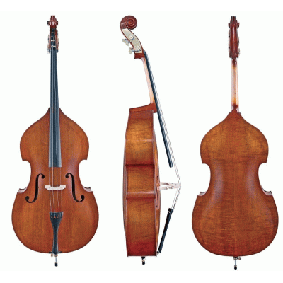 Basic Line Gewa, Beginner Bass Outfit with Bow and Bag String Power - Violin Shop
