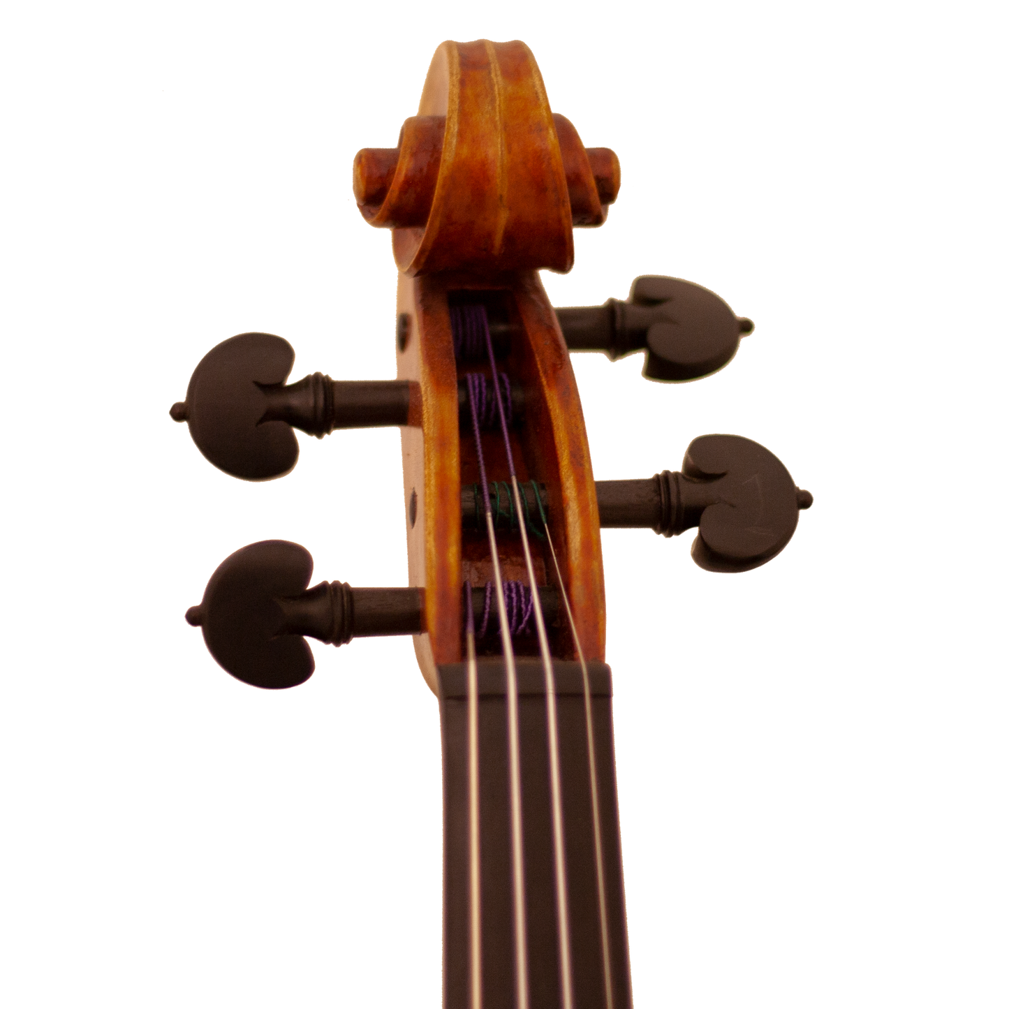 Bench Copy "Duke of Cambridge" Maple Leaf Strings Professional Violin with Case String Power - Violin Shop