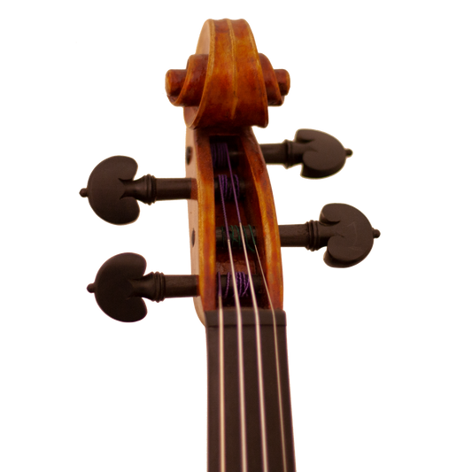 Bench Copy "Duke of Cambridge" Maple Leaf Strings Professional Violin with Case String Power - Violin Shop