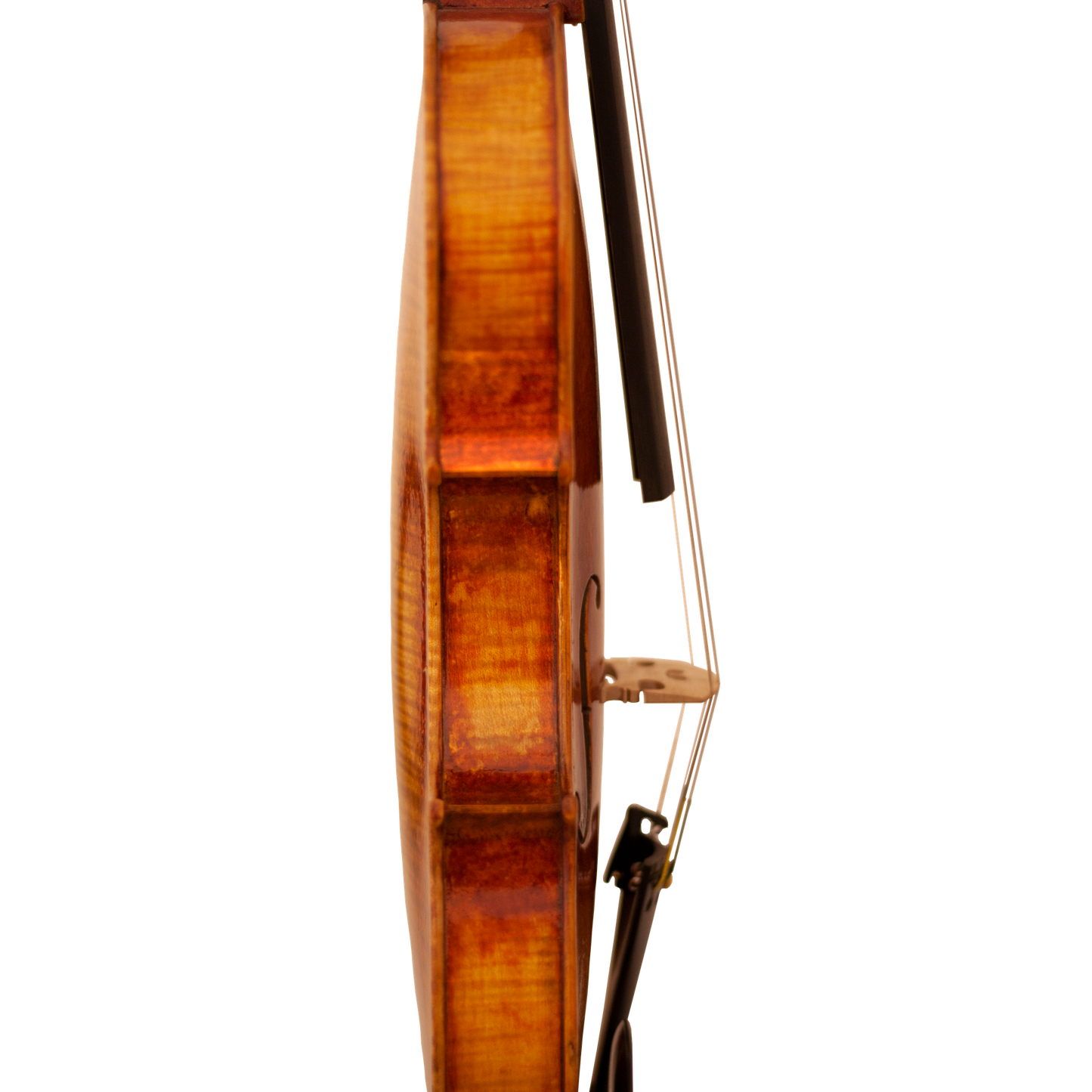 Bench Copy "Duke of Cambridge" Maple Leaf Strings Professional Violin with Case String Power - Violin Shop