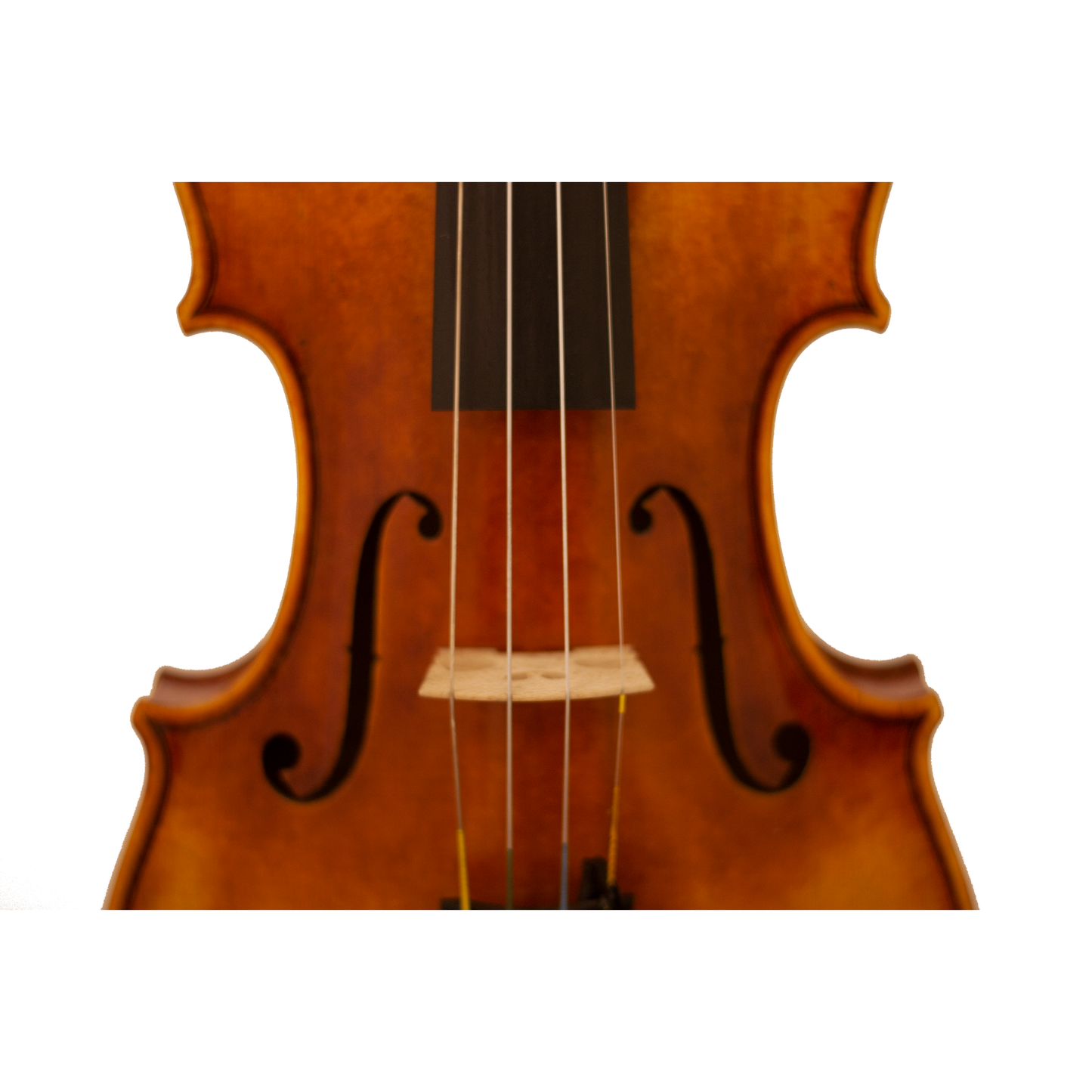 Bench Copy "Duke of Cambridge" Maple Leaf Strings Professional Violin with Case String Power - Violin Shop