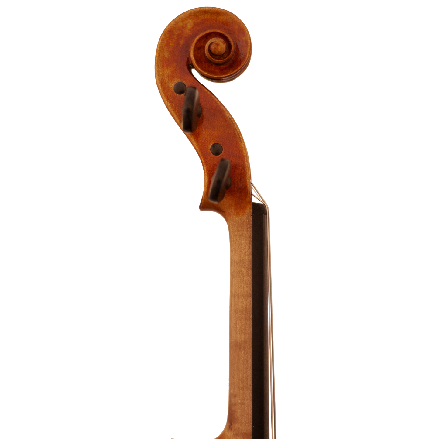 Bench Copy "Duke of Cambridge" Maple Leaf Strings Professional Violin with Case String Power - Violin Shop
