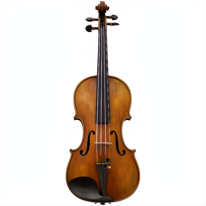 Burled Maple Maple Leaf Strings Advanced Violin with Case