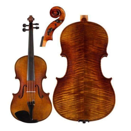 C20 Core Conservatory Intermediate Viola with Case String Power