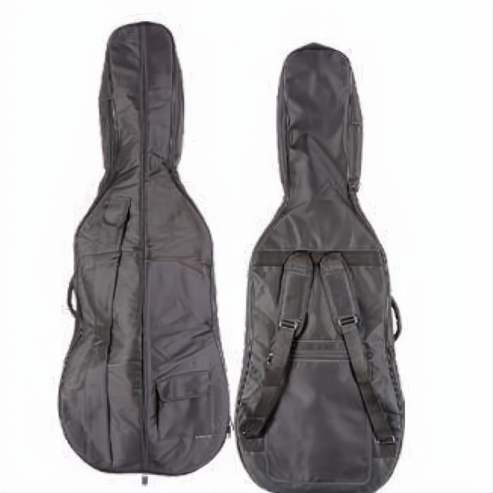 C30 Core Conservatory Cello intermediate with Bag