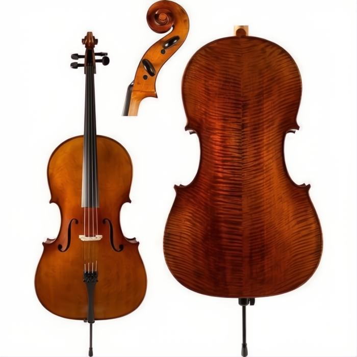 C30 Core Conservatory Cello intermediate with Bag