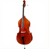 C42 Core Conservatory Advanced Bass with Bag
