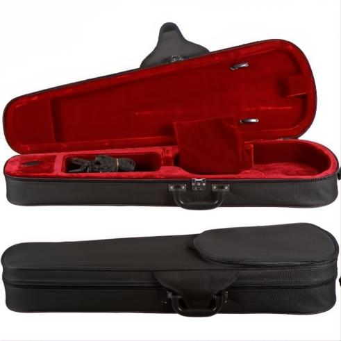 CC399E Core European Violin Case