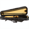 CC492 Core Two-Tone Shaped Violin Case