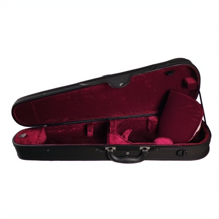 CC499 Core Shaped Violin Case