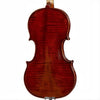 CS2425 Core Select Advanced Violin with Case