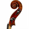 CS2425 Core Select Advanced Violin with Case