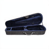 CS2425 Core Select Advanced Violin with Case