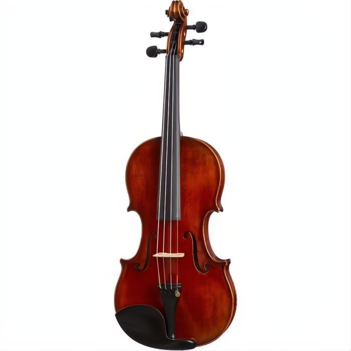 CS2425 Core Select Advanced Violin with Case