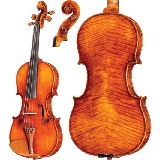 CS2900 Core Select Professional Violin with Case String Power