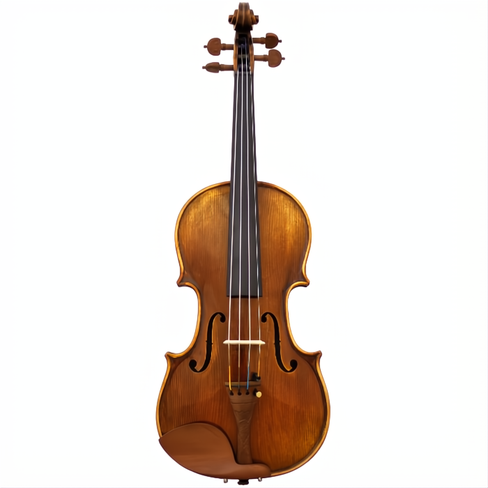Chaconne Maple Leaf Strings Advanced Violin with Case