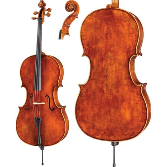 DR10 Dragon Howard Core Advanced Cello with Bag String Power