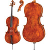 DR10 Dragon Howard Core Advanced Cello with Bag String Power