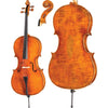 DR20 Dragon Howard Core Advanced, Cello with Bag String Power