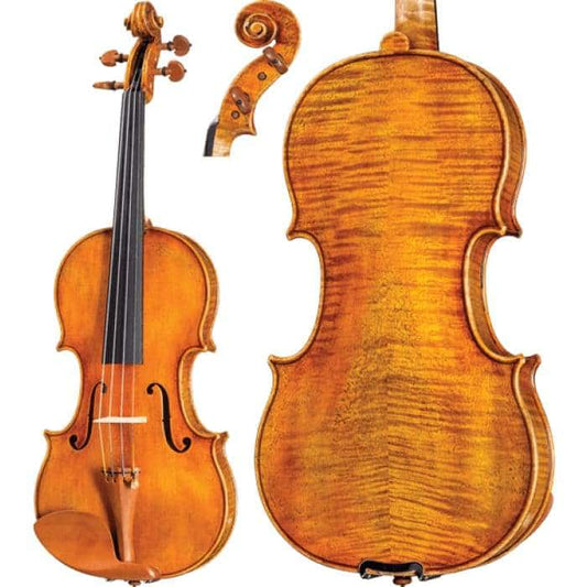 DR20 Dragon  Howard Core Intermediate Violin with Case String Power