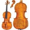 DR20 Dragon Howard Core Intermediate Violin with Case String Power