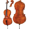 DR50 Dragon Howard Core Professional Cello with Bag String Power