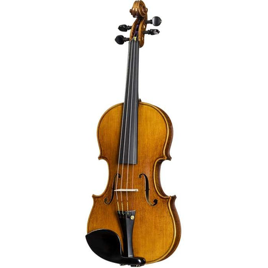 Delange Aubert Lutherie Professional Violin with Case String Power