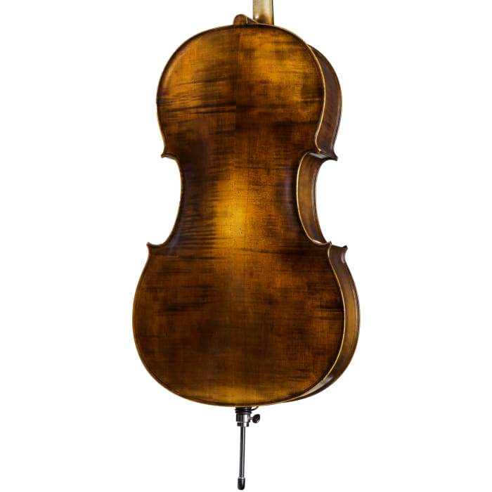FS500A Franz Sandner Professional Cello with Bag String Power