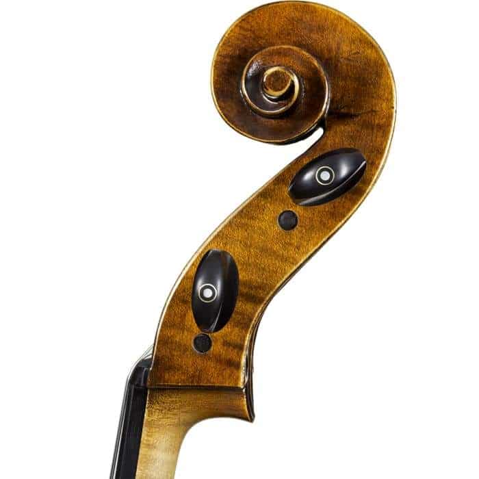 FS500A Franz Sandner Professional Cello with Bag String Power