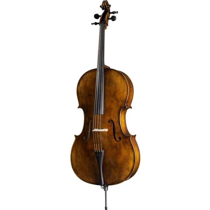 FS500A Franz Sandner Professional Cello with Bag String Power