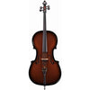 Glasser Carbon Composite Acoustic Electric Cello Outfit with Bow & Case String Power