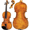 HOF-225 Hofner Professsional Violin with Case String Power