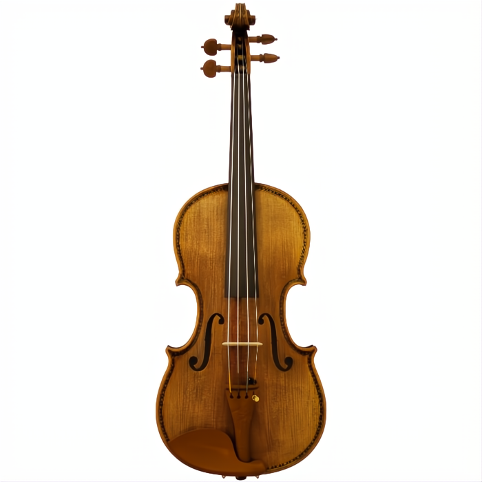 Hellier Maple Leaf Strings Advanced Violin with Case