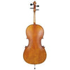 JJ300 Juzek  Intermediate Cello Outfit with Bow and Bag String Power