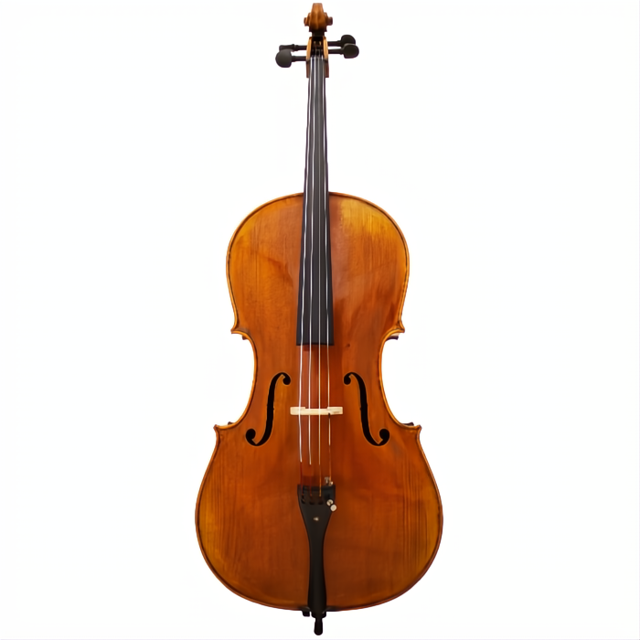 Lady Claire Maple Leaf Strings Advanced Cello with Bag