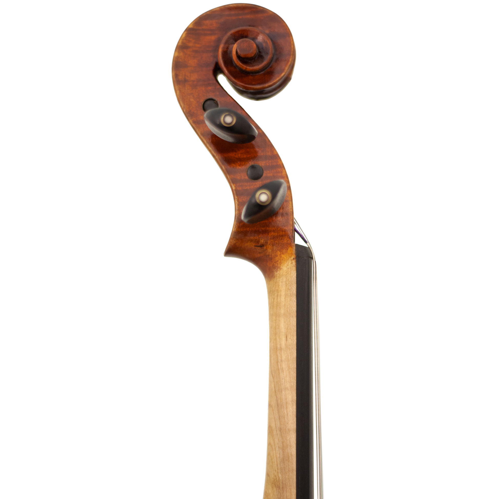 Lady Claire Maple Leaf Strings Professional Viola with Case String Power - Violin Shop