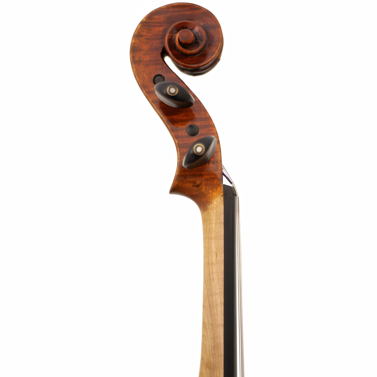 Lady Claire Maple Leaf Strings Professional Viola with Case