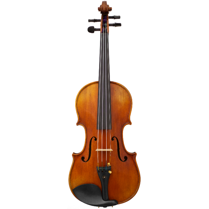 Lady Claire Maple Leaf Strings Professional Viola with Case String Power - Violin Shop