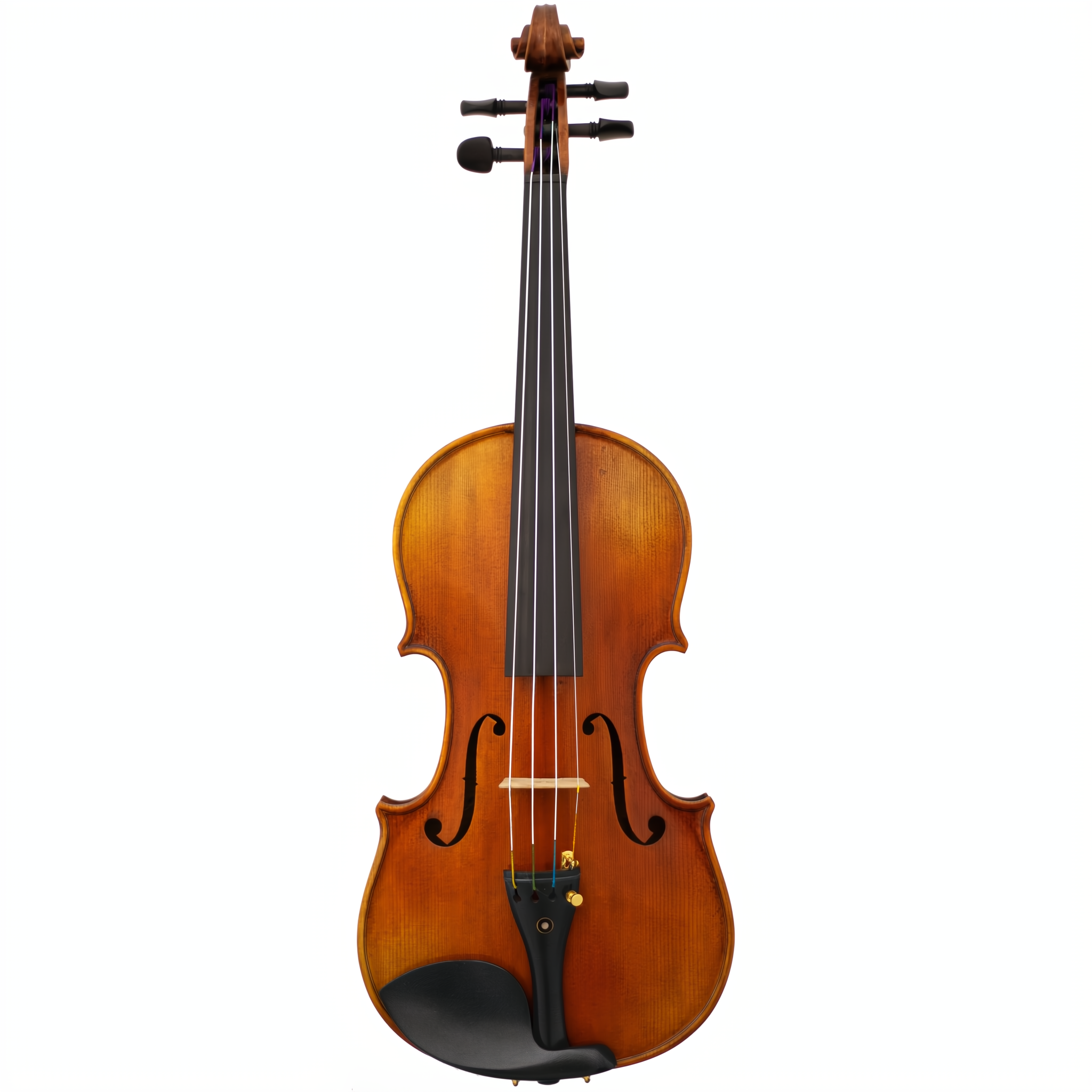 Lady Claire Maple Leaf Strings Professional Violin with Case