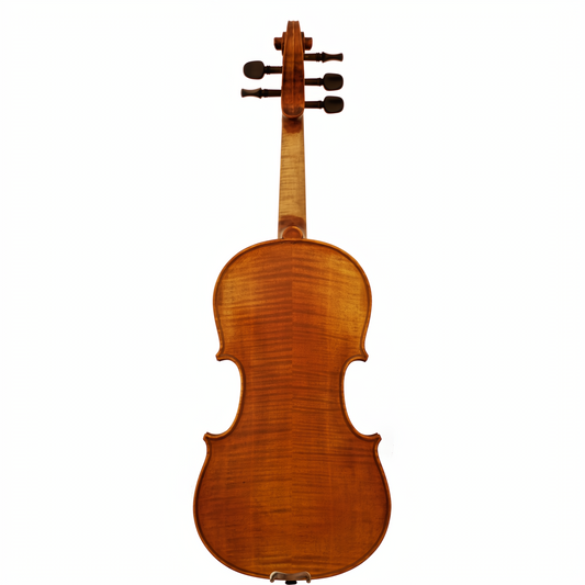 MLS130 Maple Leaf Strings Intermediate Violin Outfit with Bow and Case