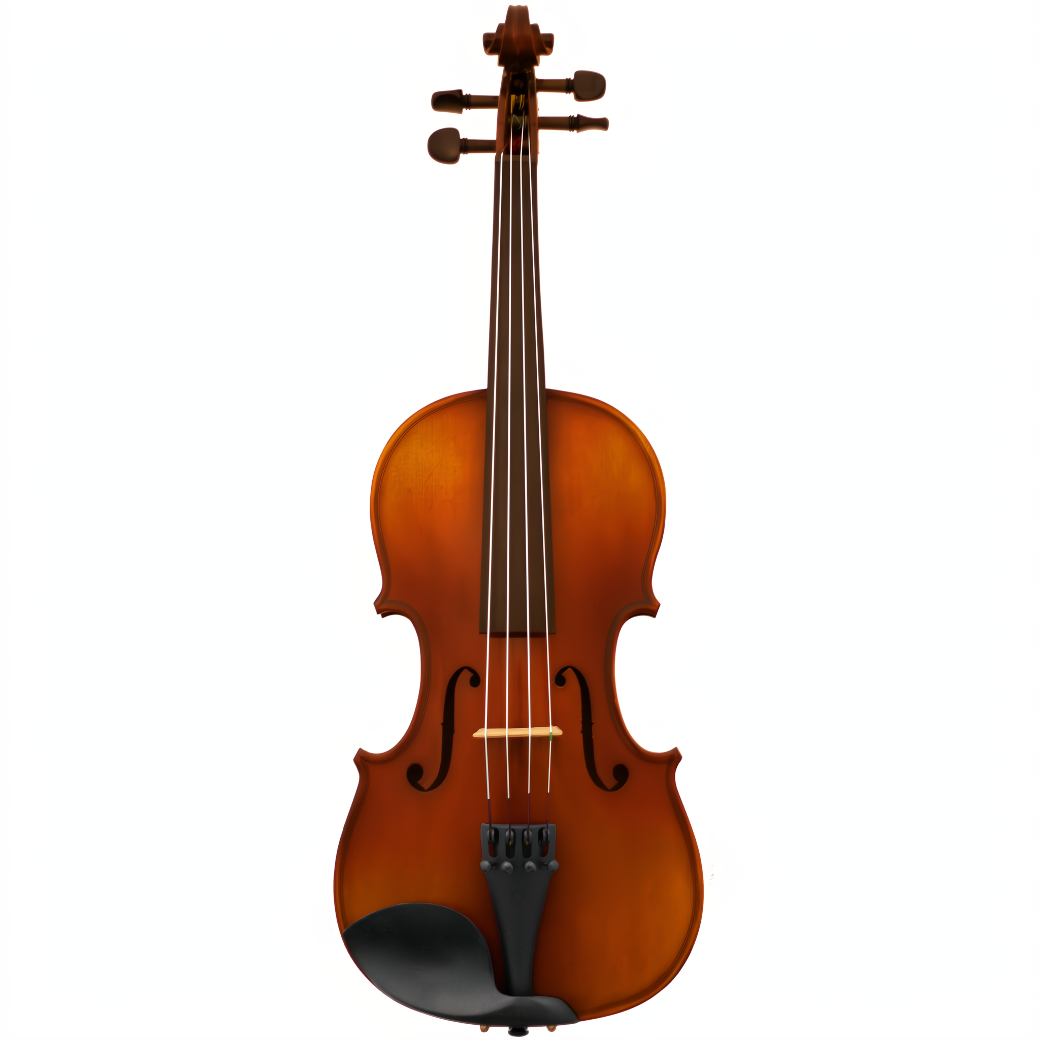 MLS130 Maple Leaf Strings Intermediate Violin Outfit with Bow and Case