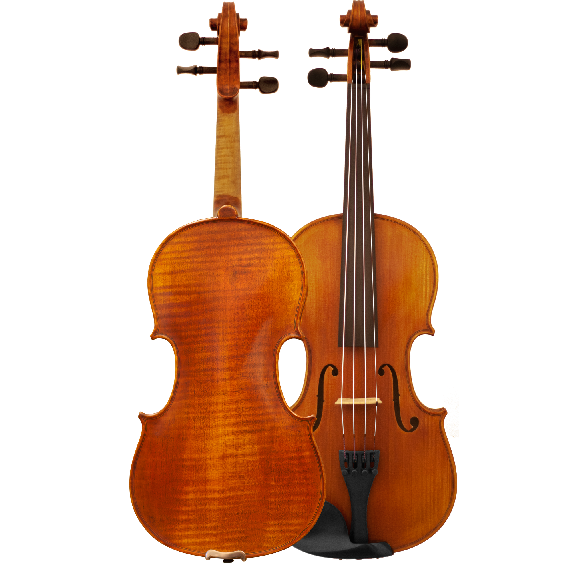 MLS140 Maple Leaf Strings Intermediate Violin Outfit with Bow and Case String Power - Violin Shop