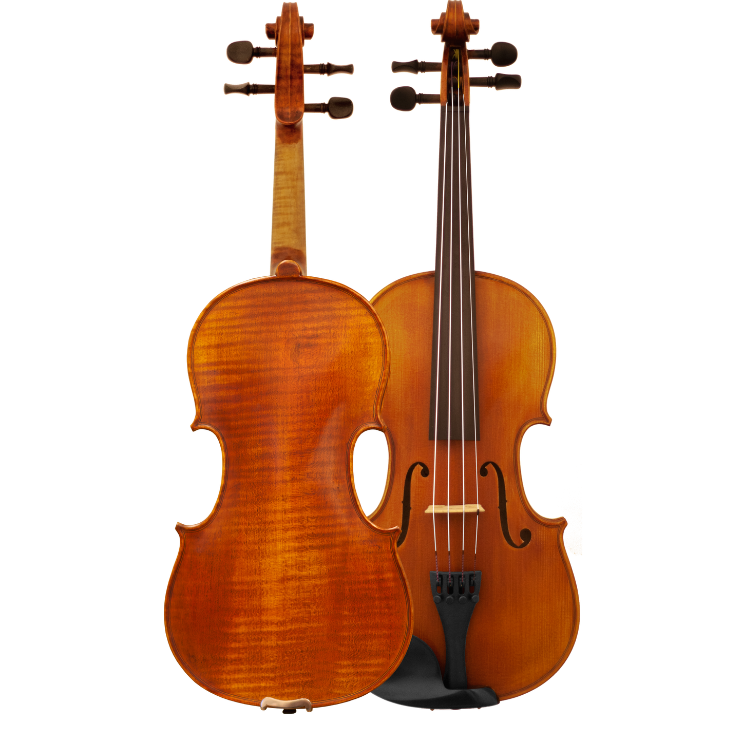 MLS140 Maple Leaf Strings Intermediate Violin Outfit with Bow and Case String Power - Violin Shop