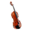 Mark Wood Acoustic / Electric DeLuxe Violin String Power