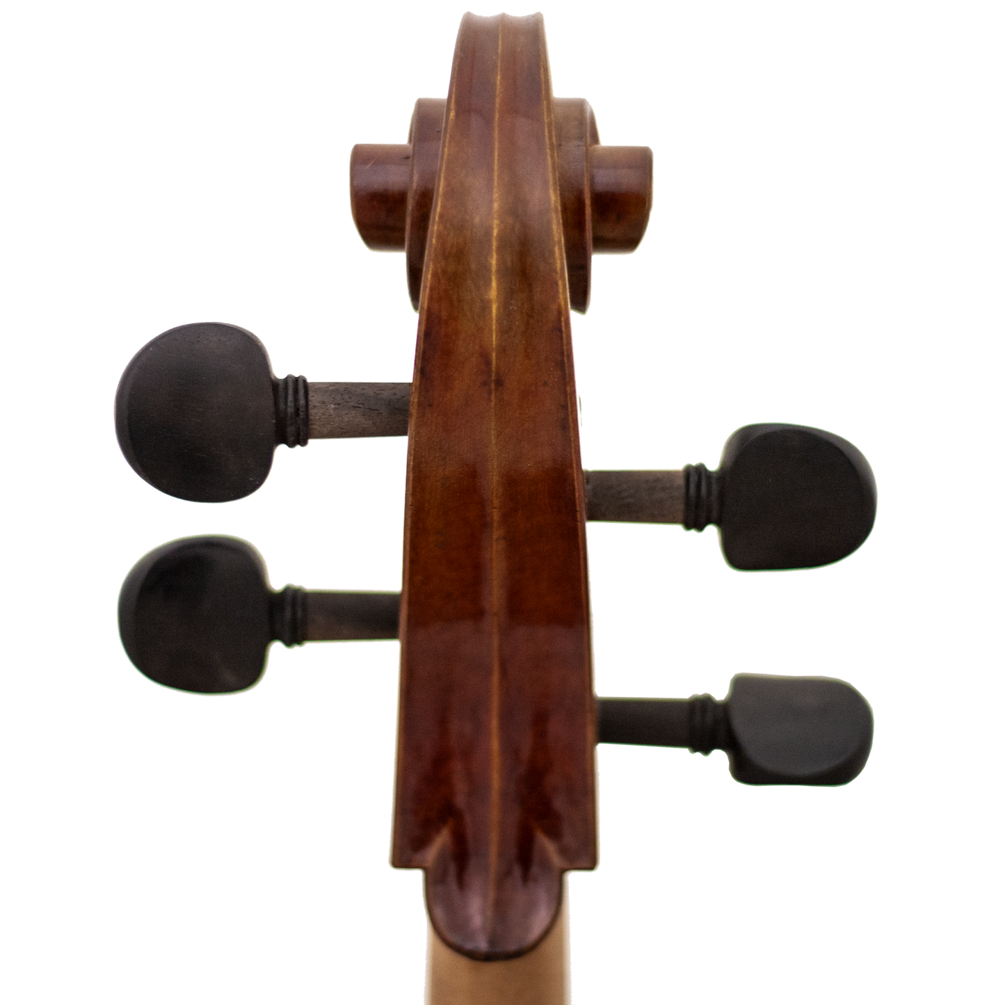 Master Linn Maple Leaf Strings Professional Cello with Bag String Power - Violin Shop