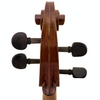Master Linn Maple Leaf Strings Professional Cello with Bag