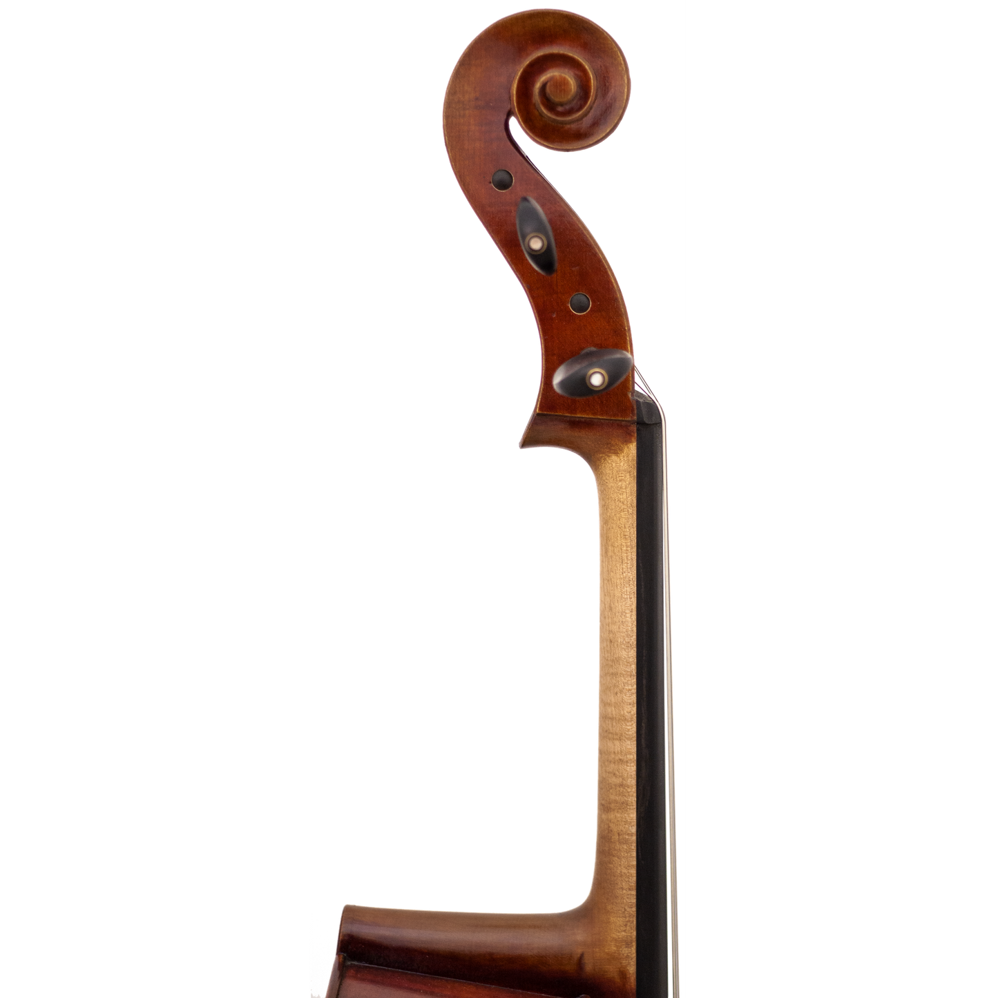 Master Linn Maple Leaf Strings Professional Cello with Bag String Power - Violin Shop