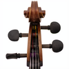 Master Linn Maple Leaf Strings Professional Cello with Bag
