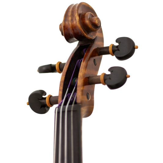 Master Linn Maple Leaf Strings Professional Viola with Case String Power - Violin Shop