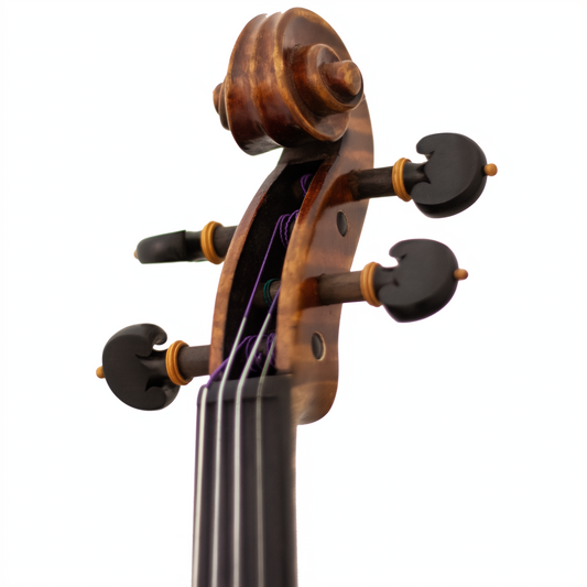 Master Linn Maple Leaf Strings Professional Viola with Case